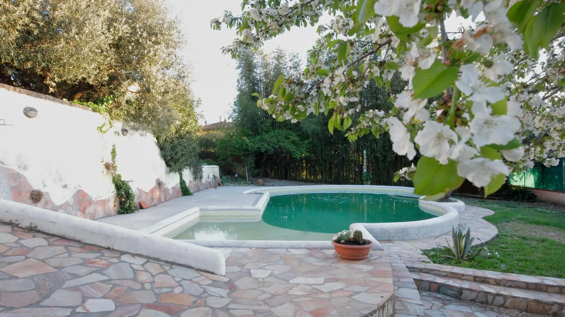 Casa Di Katia Apartman Collesalvetti